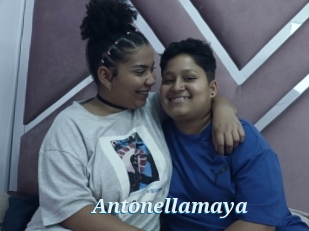 Antonellamaya