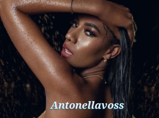 Antonellavoss