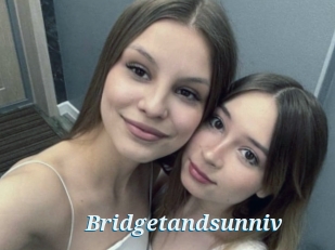 Bridgetandsunniv