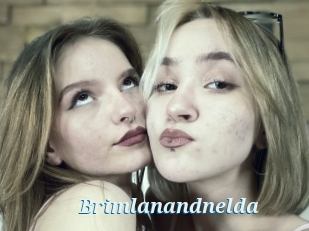 Brimlanandnelda