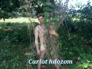Carlot_hdozom
