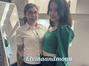 Elvinaandmona