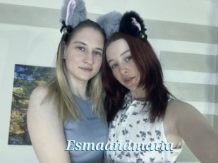 Esmaandmatia
