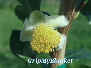 GripMyBlanket