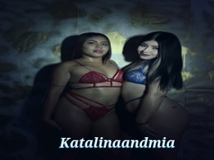Katalinaandmia