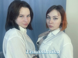 Lisaandmika
