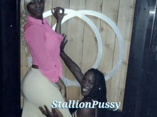 StallionPussy