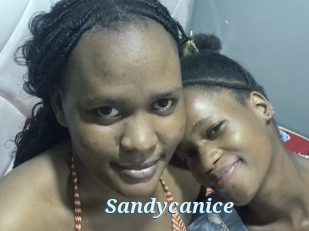 Sandycanice