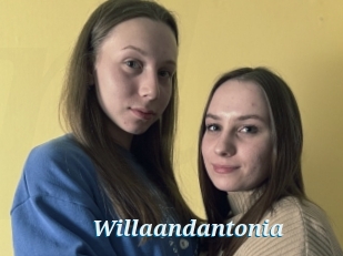 Willaandantonia