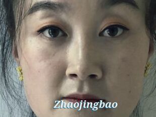 Zhaojingbao